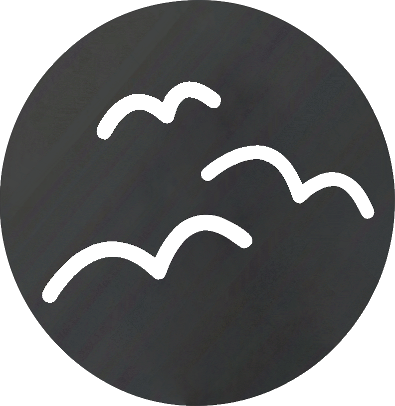 Boids Composer Icon